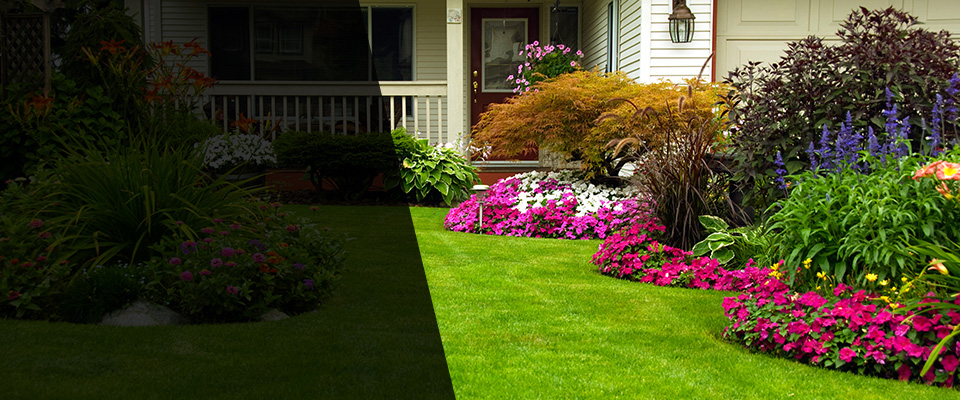 Red Bud Landscapers